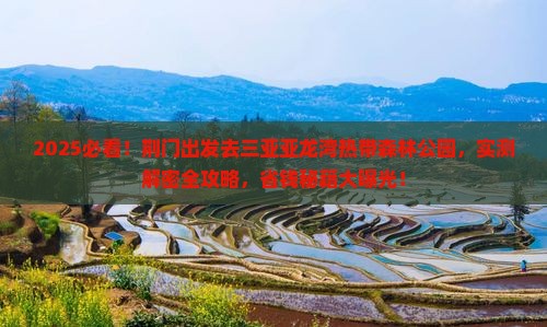 荆门去三亚亚龙湾热带森林公园个人游