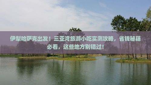 伊犁哈萨克出发三亚三亚湾旅游小吃