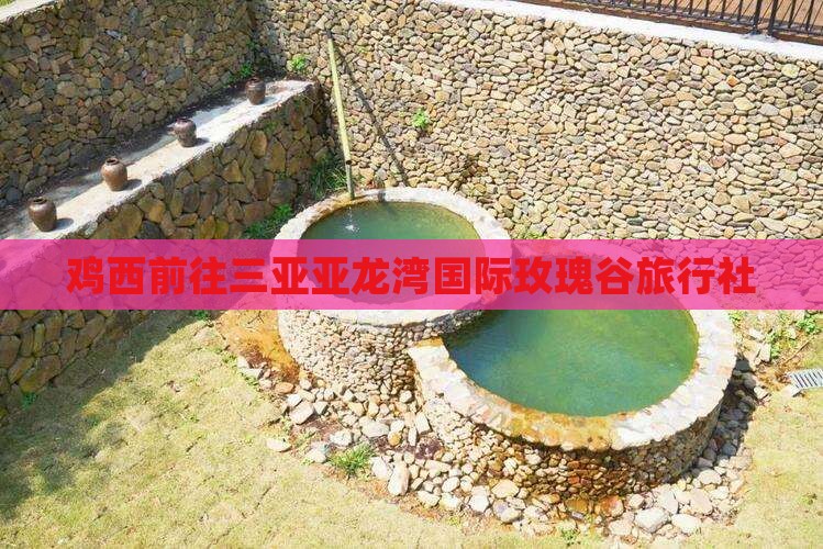鸡西前往三亚亚龙湾国际玫瑰谷旅行社