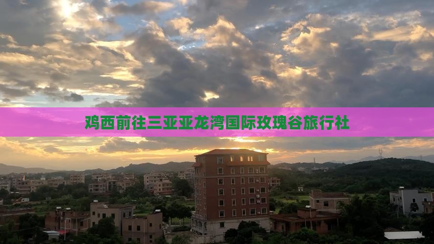 鸡西前往三亚亚龙湾国际玫瑰谷旅行社