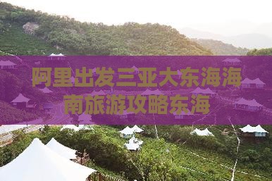 阿里出发三亚大东海三日游
