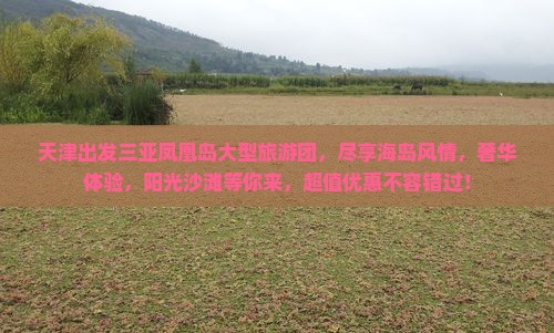 天津出发三亚凤凰岛大型旅游团 天津出发三亚凤凰岛大型旅游团