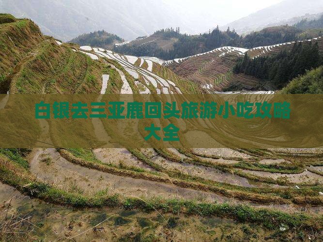 白银去三亚鹿回头旅游小吃