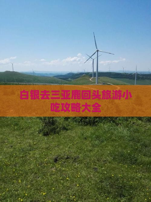 白银去三亚鹿回头旅游小吃
