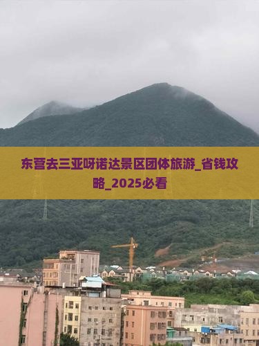 东营去三亚呀诺达景区团体旅游