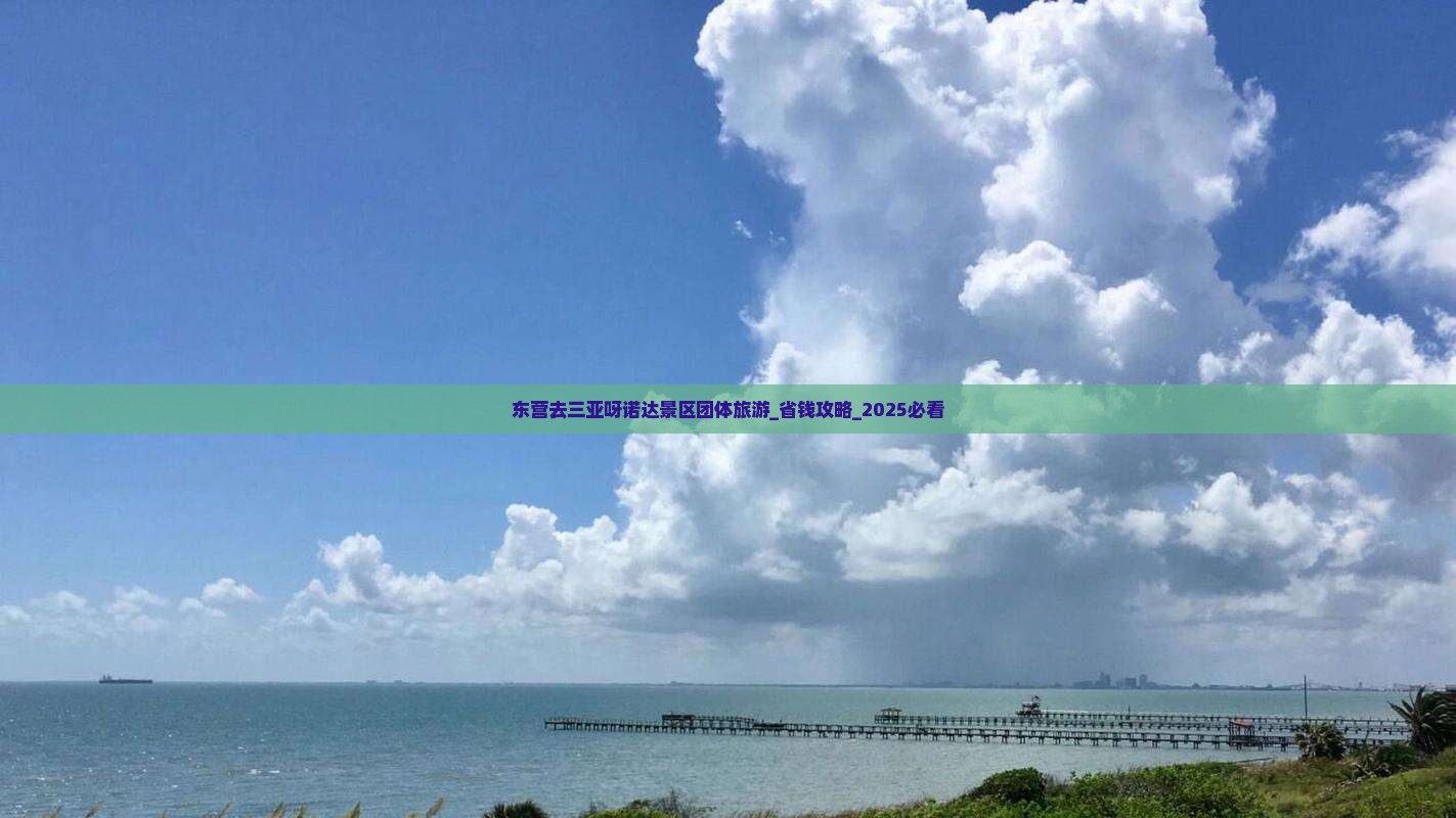 东营去三亚呀诺达景区团体旅游