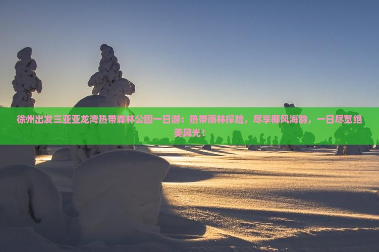 徐州出发三亚亚龙湾热带森林公园一日游