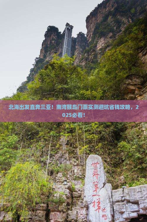 北海出发三亚南湾猴岛门票