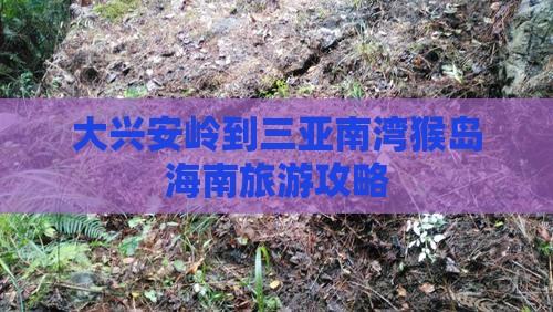 大兴安岭去三亚南湾猴岛个人游