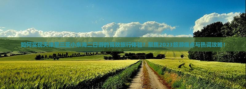 如何实现天津至三亚小东海二日游的高效旅行体验？聚焦2023旅游痛点与热词攻略！