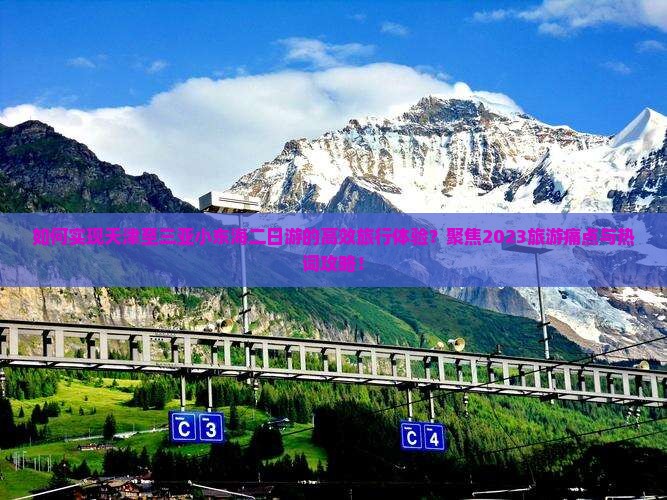 如何实现天津至三亚小东海二日游的高效旅行体验？聚焦2023旅游痛点与热词攻略！