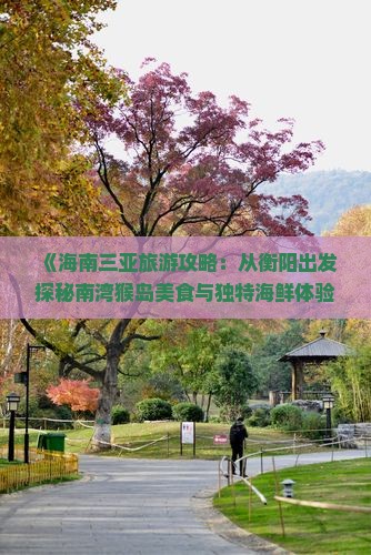 《海南三亚旅游攻略：从衡阳出发探秘南湾猴岛美食与独特海鲜体验》
