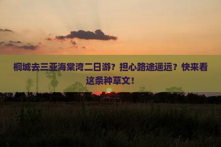 桐城去三亚海棠湾二日游？担心路途遥远？快来看这条种草文！