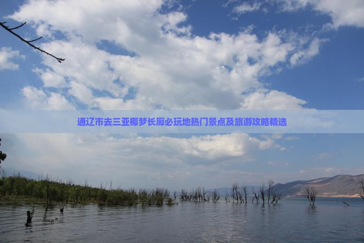 通辽市去三亚椰梦长廊必玩地热门景点及旅游攻略精选