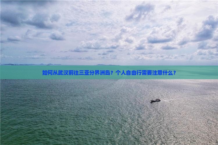 如何从武汉前往三亚分界洲岛？个人自由行需要注意什么？
