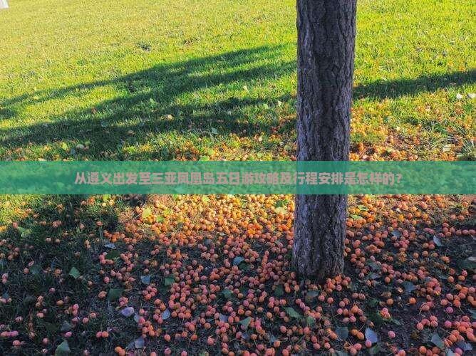 从遵义出发至三亚凤凰岛五日游攻略及行程安排是怎样的？