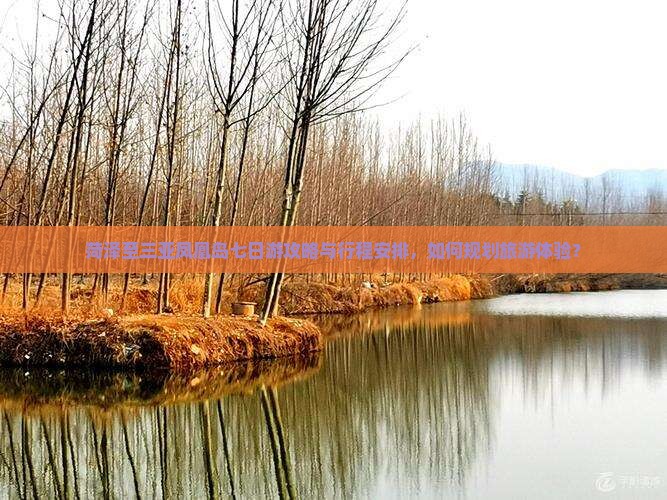 菏泽至三亚凤凰岛七日游攻略与行程安排，如何规划旅游体验？