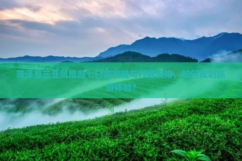 菏泽至三亚凤凰岛七日游攻略与行程安排，如何规划旅游体验？