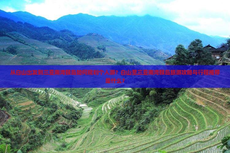 从白山出发到三亚南湾猴岛如何规划个人游？白山至三亚南湾猴岛旅游攻略与行程推荐是什么？