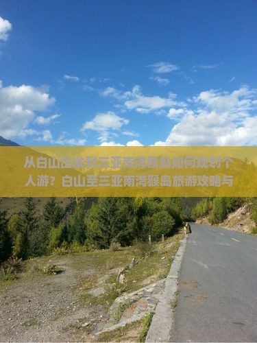 从白山出发到三亚南湾猴岛如何规划个人游？白山至三亚南湾猴岛旅游攻略与行程推荐是什么？