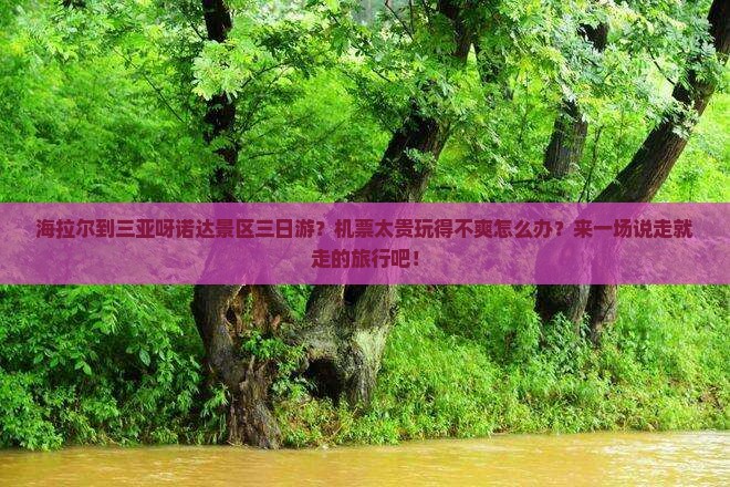 海拉尔到三亚呀诺达景区三日游？机票太贵玩得不爽怎么办？来一场说走就走的旅行吧！
