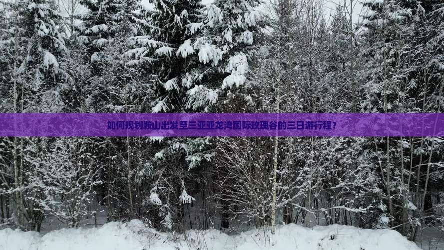 如何规划鞍山出发至三亚亚龙湾国际玫瑰谷的三日游行程？
