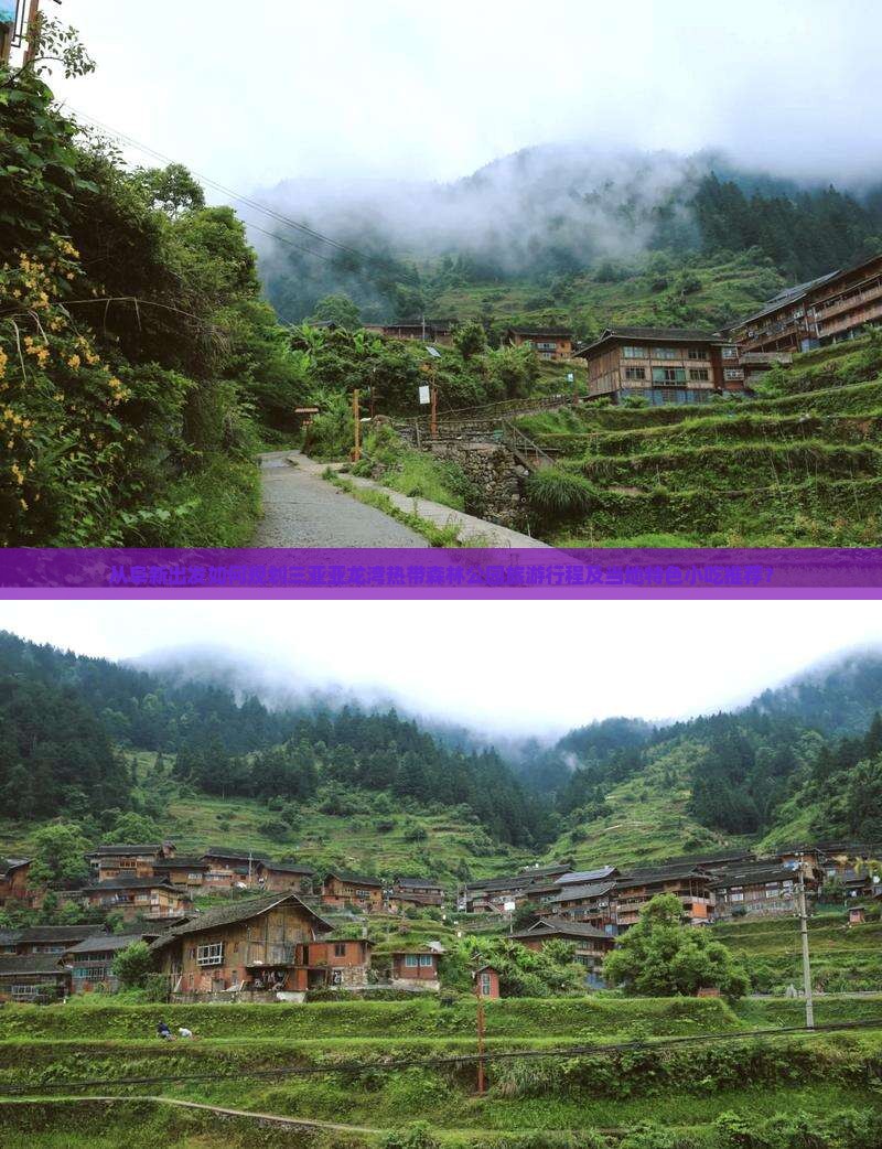 从阜新出发如何规划三亚亚龙湾热带森林公园旅游行程及当地特色小吃推荐？
