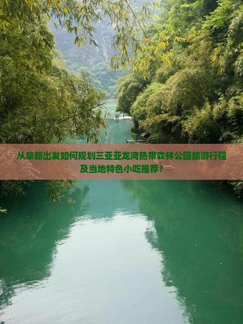 从阜新出发如何规划三亚亚龙湾热带森林公园旅游行程及当地特色小吃推荐？