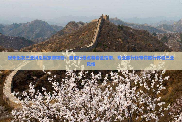 泉州出发三亚凤凰岛旅游攻略：自由行景点看看全指南，专业旅行社带你旅行体验三亚风情