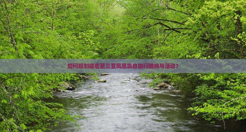 如何规划德宏至三亚凤凰岛自由行路线与活动？