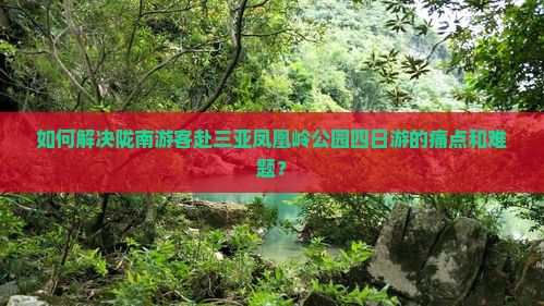 如何解决陇南游客赴三亚凤凰岭公园四日游的痛点和难题？