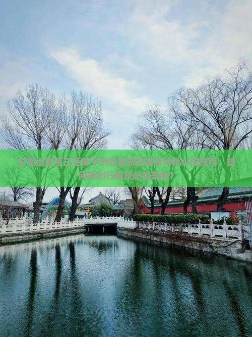 甘南出发至三亚椰子洲岛旅游攻略及特色小吃推荐，如何规划行程及必尝美食？