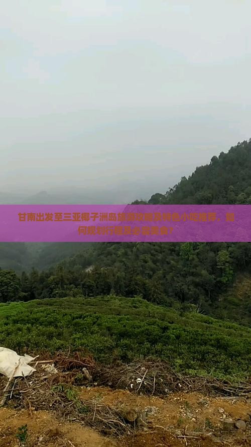 甘南出发至三亚椰子洲岛旅游攻略及特色小吃推荐，如何规划行程及必尝美食？