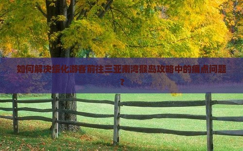 如何解决绥化游客前往三亚南湾猴岛攻略中的痛点问题？