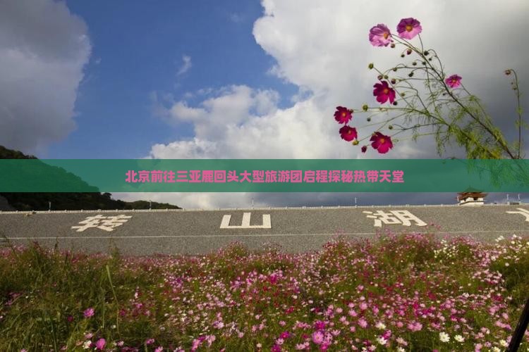 北京前往三亚鹿回头大型旅游团启程探秘热带天堂