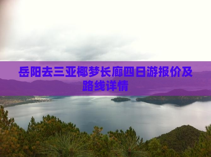 岳阳去三亚椰梦长廊四日游报价及路线详情