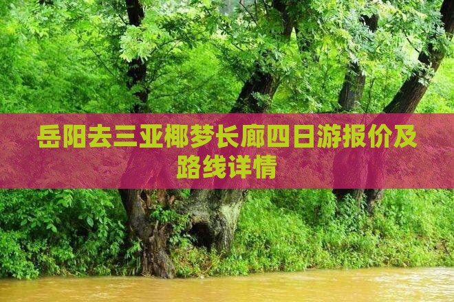 岳阳去三亚椰梦长廊四日游报价及路线详情