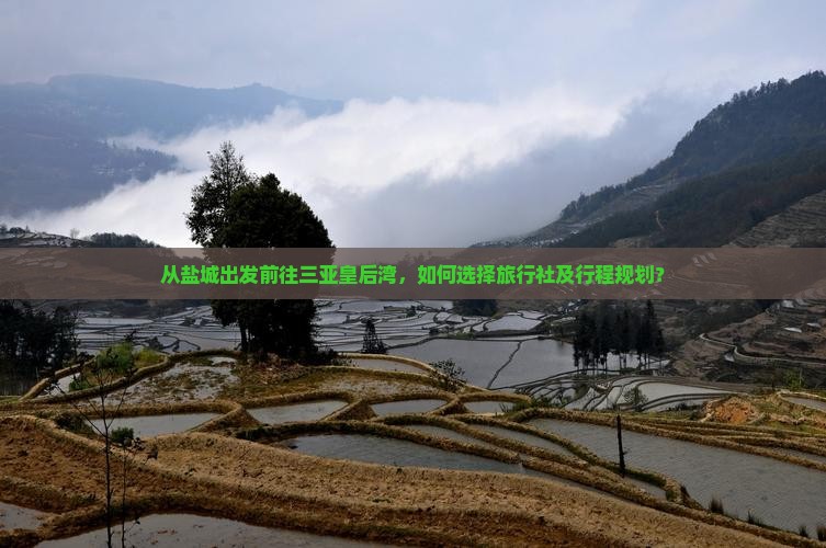 从盐城出发前往三亚皇后湾，如何选择旅行社及行程规划？