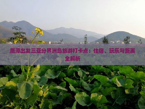 鹰潭出发三亚分界洲岛旅游打卡点：住宿、玩乐与距离全解析