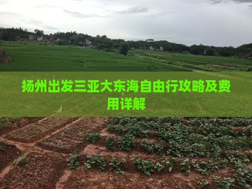 扬州出发三亚大东海自由行攻略及费用详解