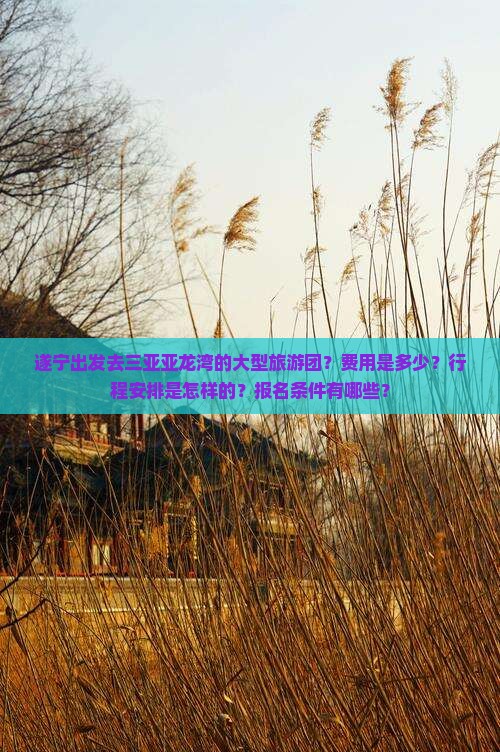 遂宁出发去三亚亚龙湾的大型旅游团？费用是多少？行程安排是怎样的？报名条件有哪些？