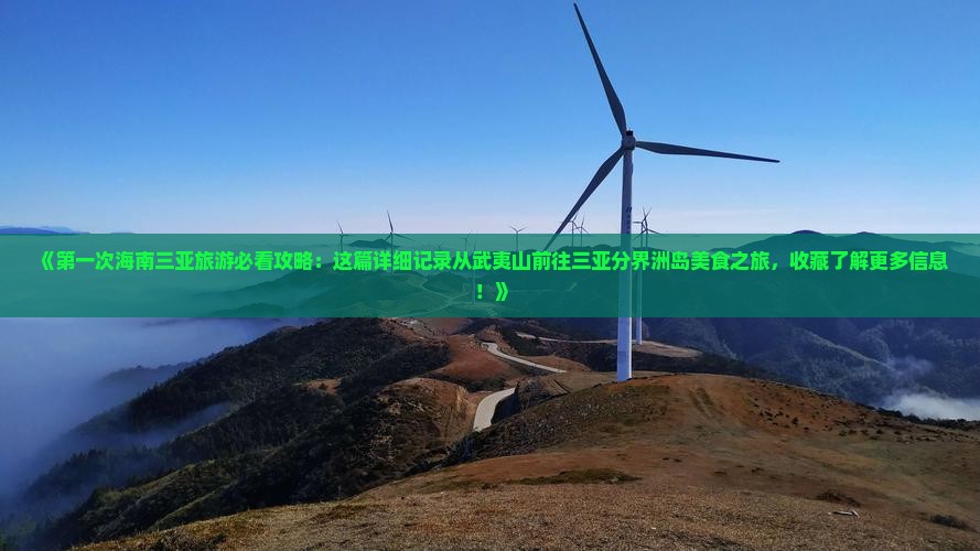 《第一次海南三亚旅游必看攻略：这篇详细记录从武夷山前往三亚分界洲岛美食之旅，收藏了解更多信息！》