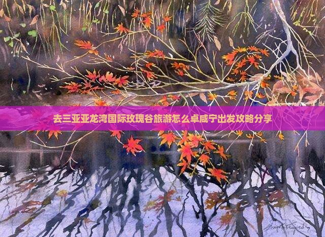 去三亚亚龙湾国际玫瑰谷旅游怎么卓咸宁出发攻略分享