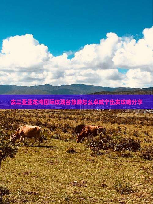 去三亚亚龙湾国际玫瑰谷旅游怎么卓咸宁出发攻略分享