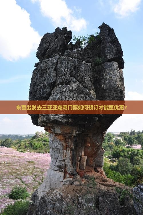 东营出发去三亚亚龙湾门票如何预订才能更优惠？