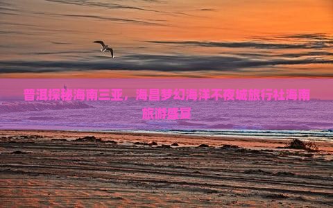 普洱探秘海南三亚，海昌梦幻海洋不夜城旅行社海南旅游盛宴