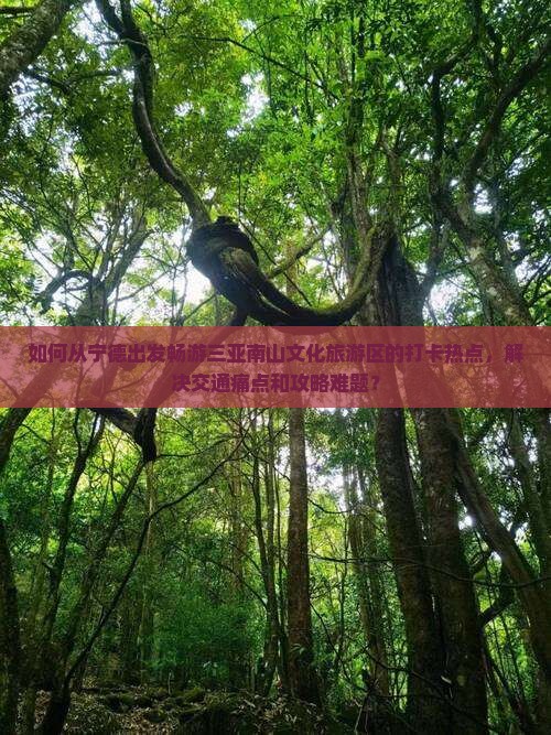 如何从宁德出发畅游三亚南山文化旅游区的打卡热点，解决交通痛点和攻略难题？