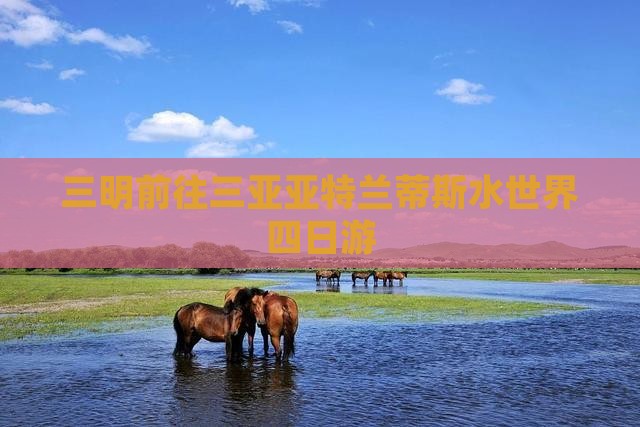 三明前往三亚亚特兰蒂斯水世界四日游