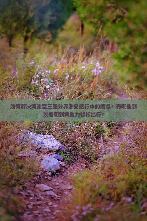 如何解决河池至三亚分界洲岛旅行中的痛点？有哪些新攻略和新词助力轻松出行？