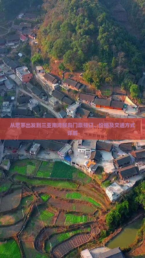 从思茅出发到三亚南湾猴岛门票预订、价格及交通方式详解